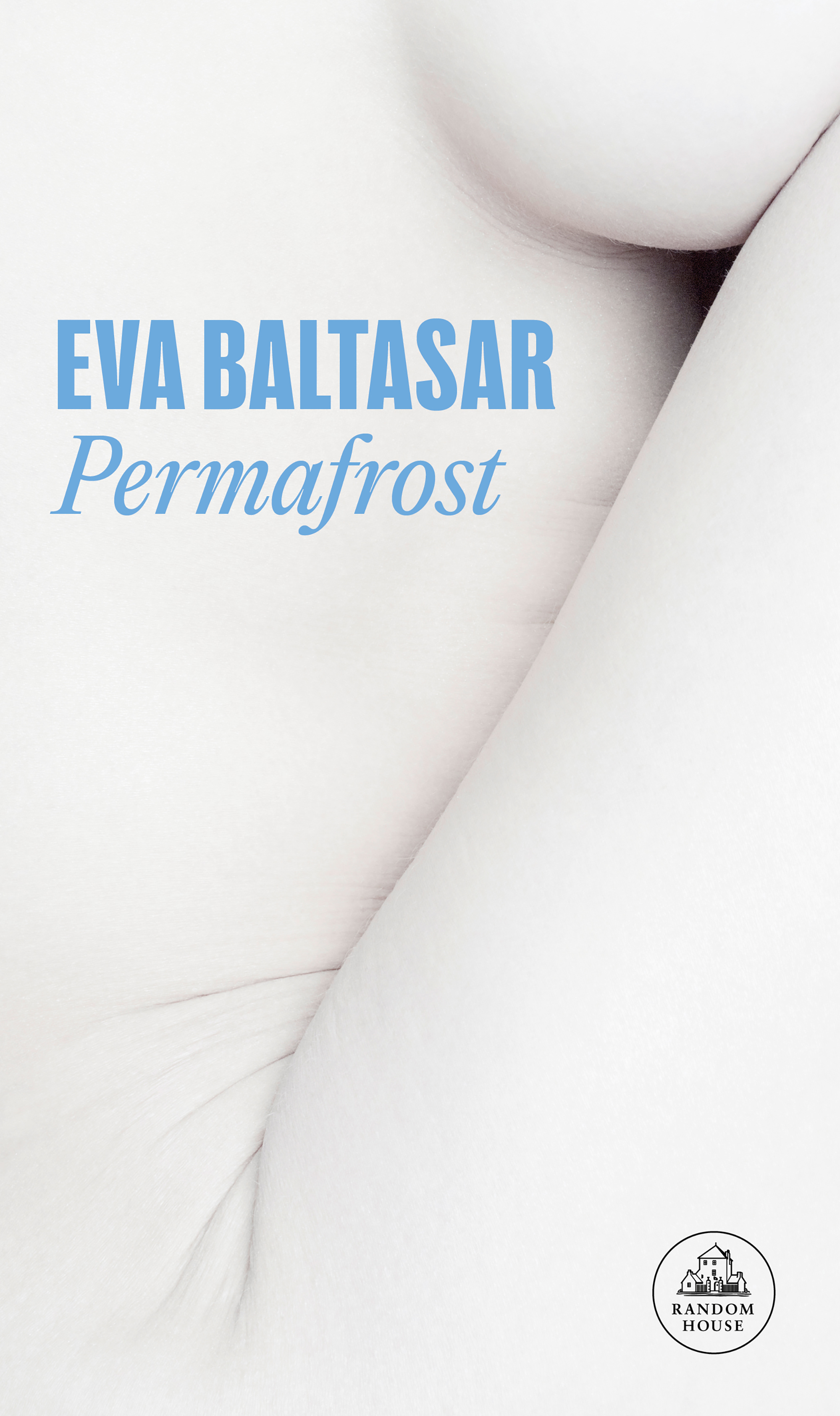 Permafrost - Eva Baltasar.jpg