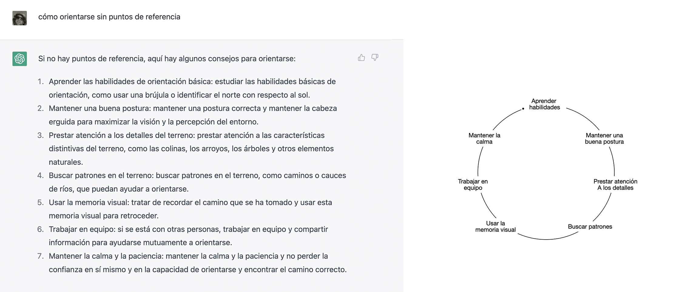SECUENCIA DE ORIENTACIÓN EN UN MUNDO SIN PUNTOS REFERENCIA SEGÚN CHAT GPT.jpg