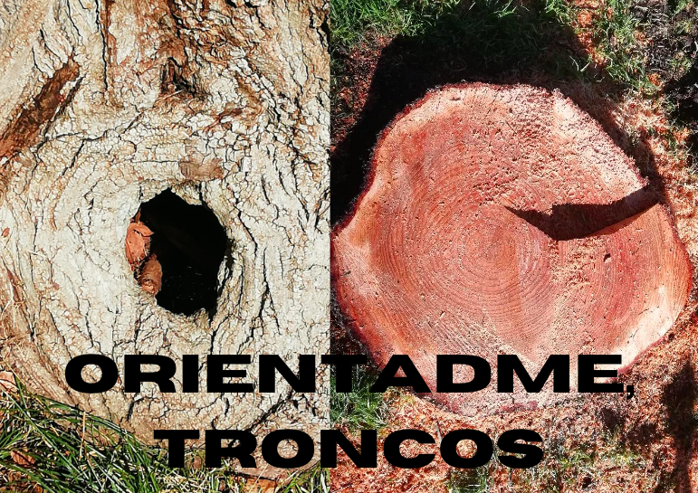 Ellos saben, ellos pueden.png