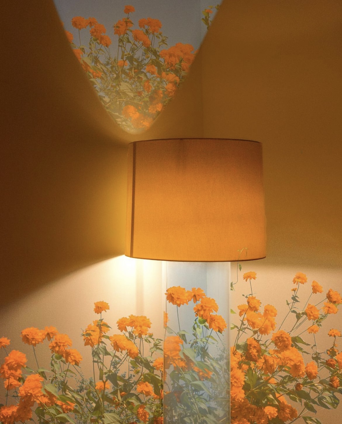 We're blooming in the light.jpg