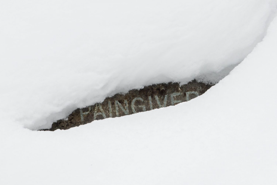 Paingiver_Jenny_Holzer.png